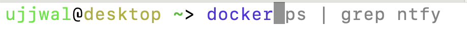 Auto Suggestions